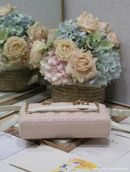 Tony Luxuries BAG-26*13.5*5CM diro D-JOY LADY 0403